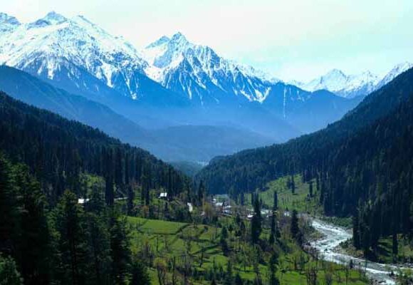 Kashmir Beauty