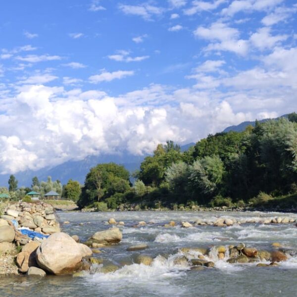 Kashmir