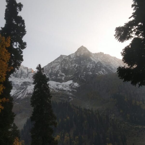 Kashmir