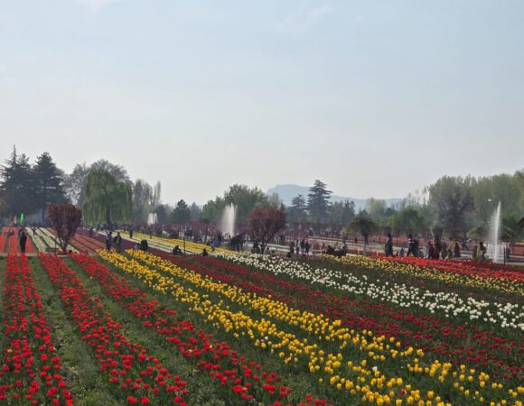 Kashmir