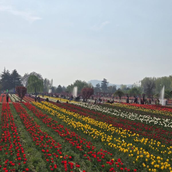 Kashmir