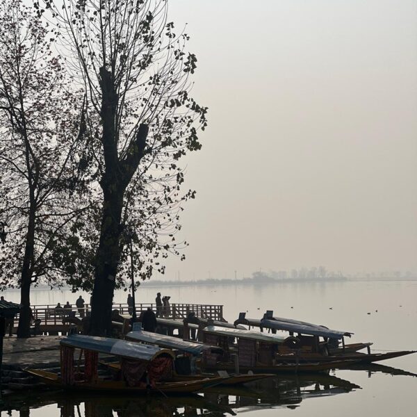 Kashmir